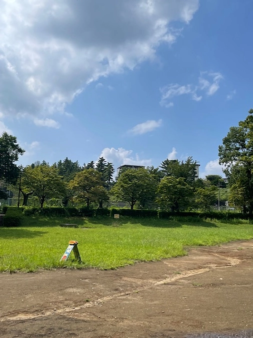 【2024年8月の活動報告】