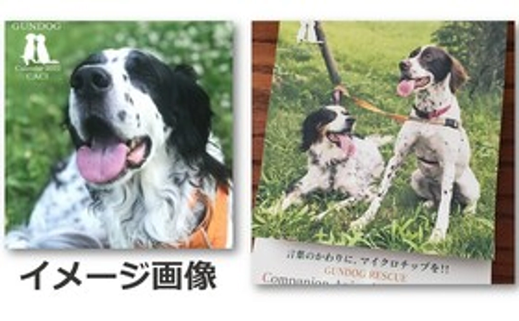 【グッズで応援】CACIオリジナルカレンダー(2023年度)