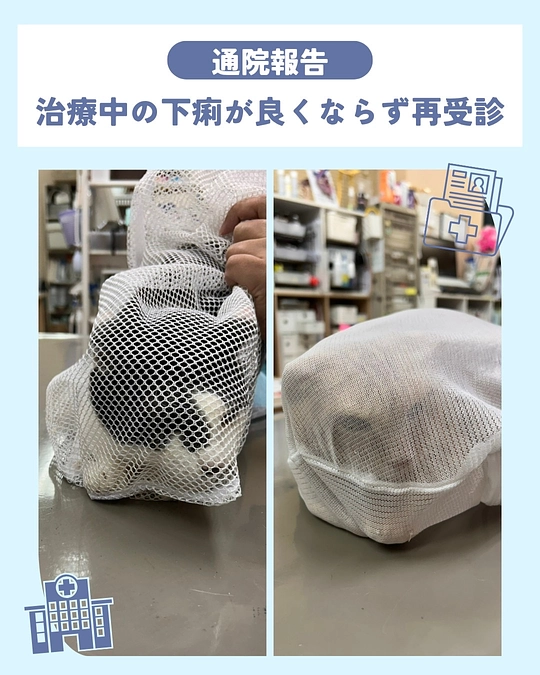 原因不明の難治性消化器疾患🏥😣