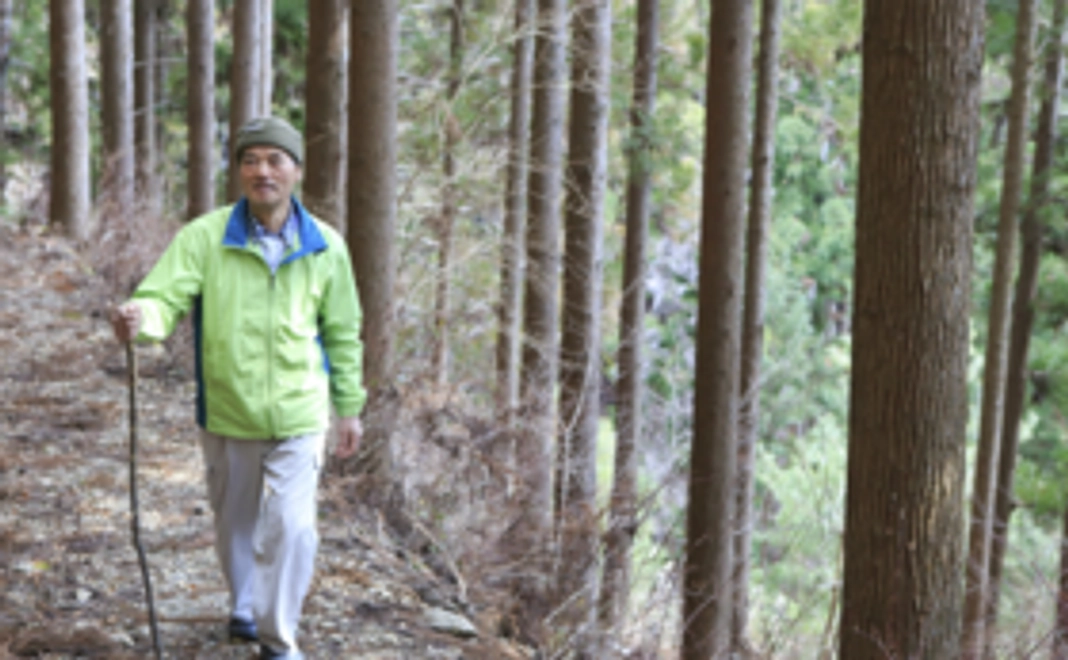 橋本さんの森林視察ツアー