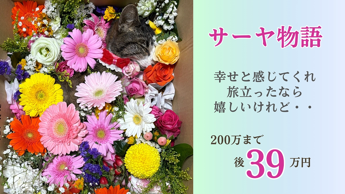 天使になったサーヤの物語【残り5日となりました。】