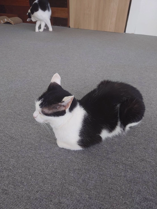 寒くなりましたね