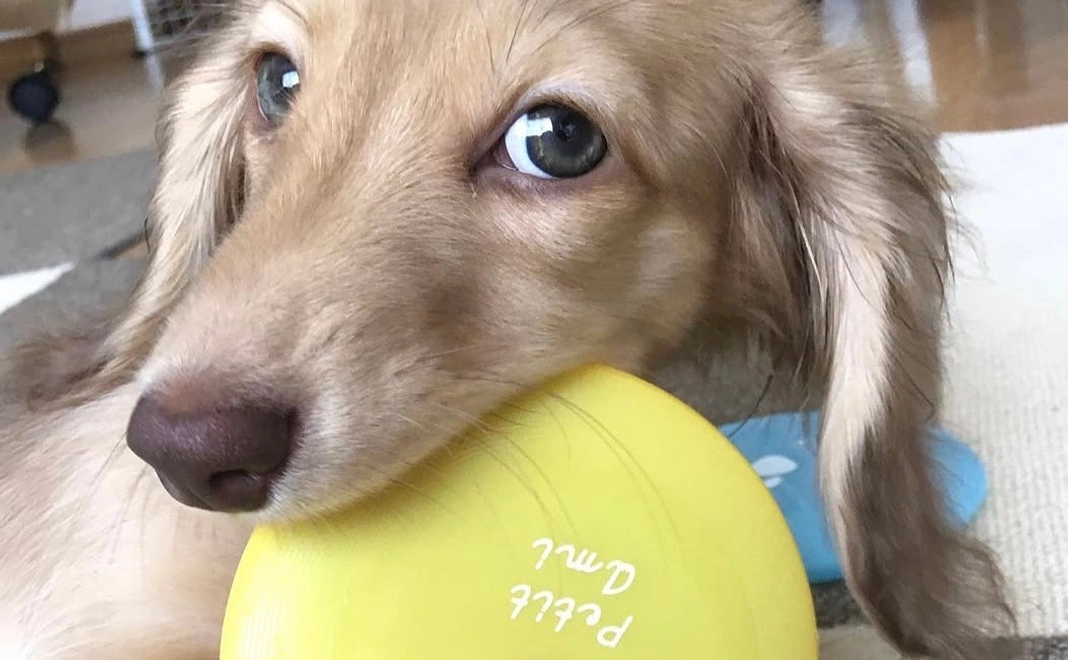 Leiくんへのご支援ありがとうございます2️⃣