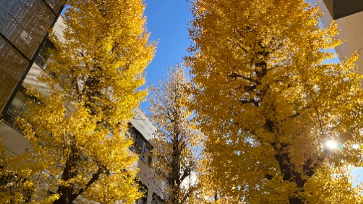 プロジェクト達成のご報告とお礼