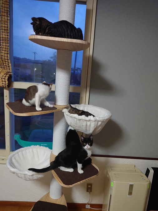 第一目標達成できました<(_ _*)>