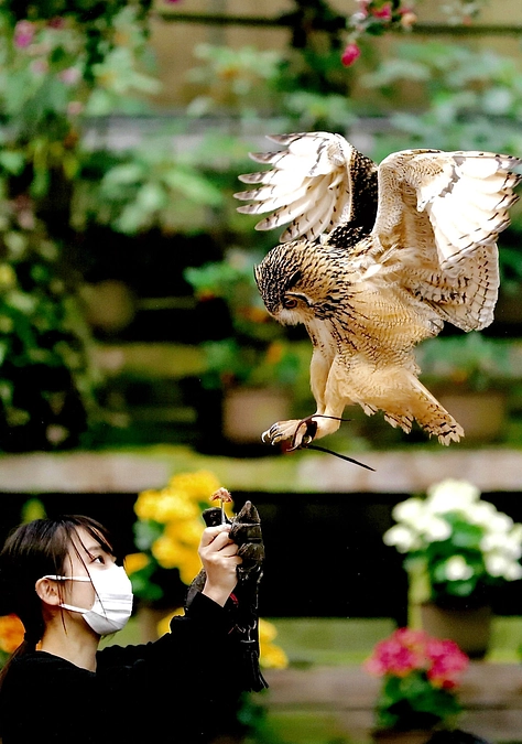 残り56時間となりました。第二目標の着地に向かって頑張ります。