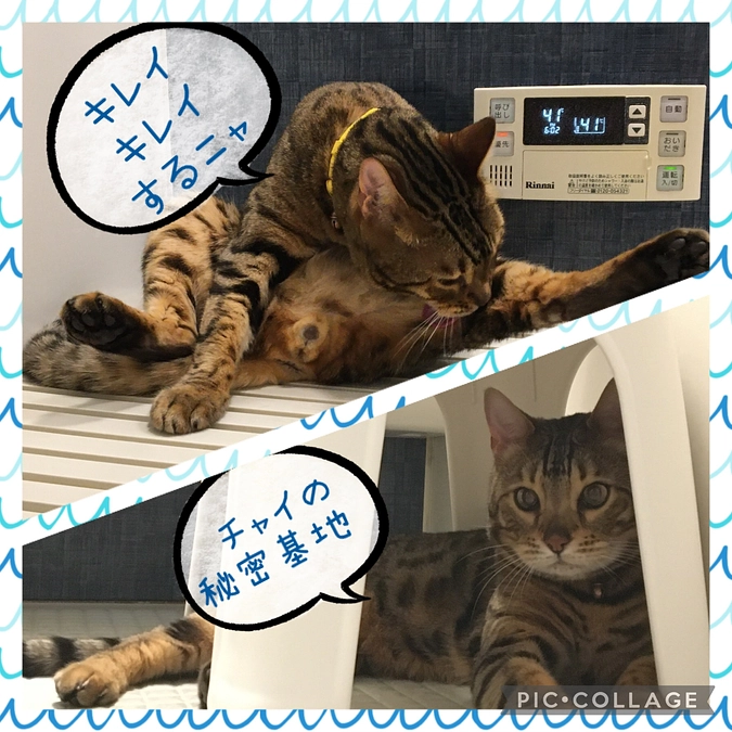 5/13〜6/14までの診療明細のご報告