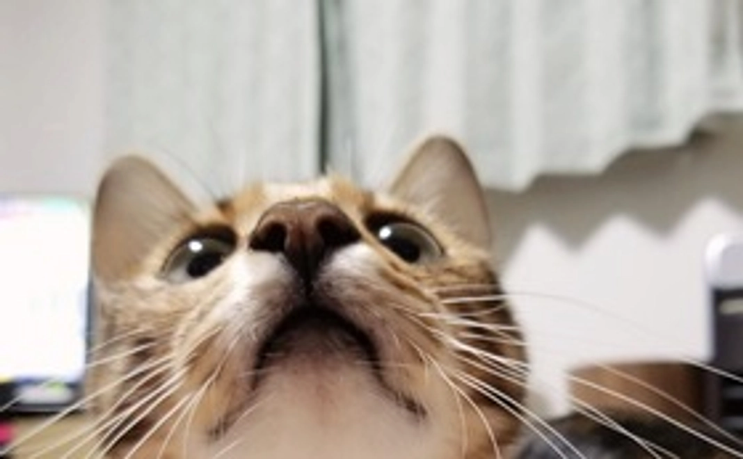 2,000円支援コース