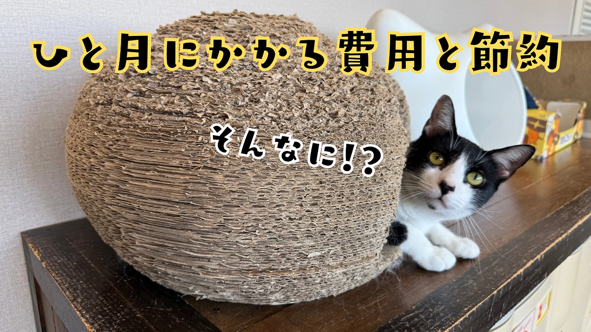 ひと月にかかる費用と節約。