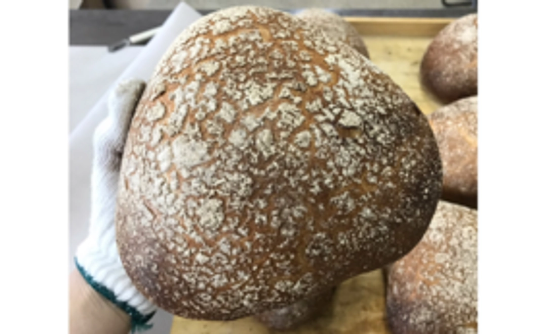 【数量限定】パン作り体験
