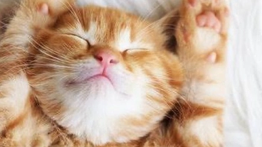 置き去り0を目指す社会実験!シェアハウス「のほほん家族」 のトップ画像