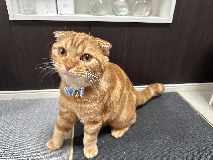 【達成報告と感謝の文】