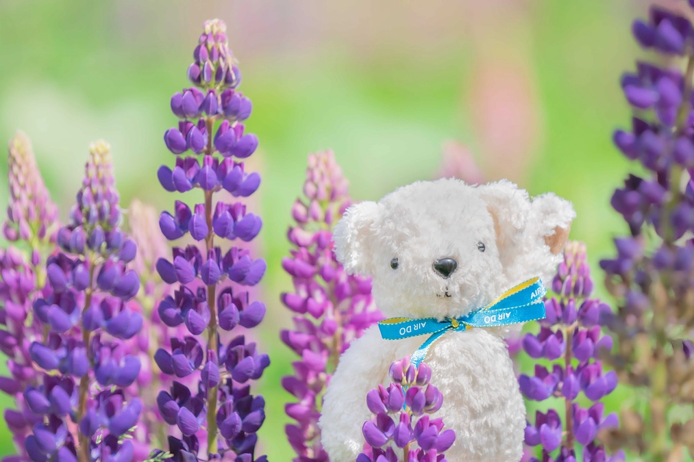 プロジェクト開始から１週間が経過しました！