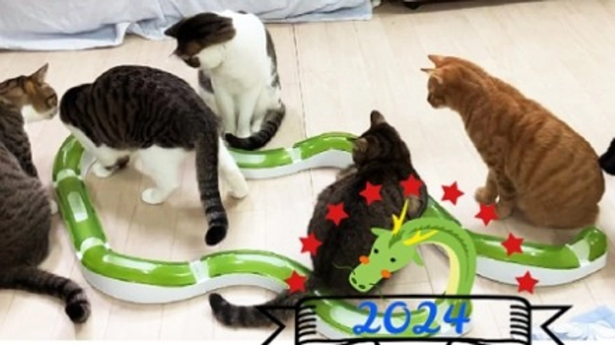 あけましておめでとうございます