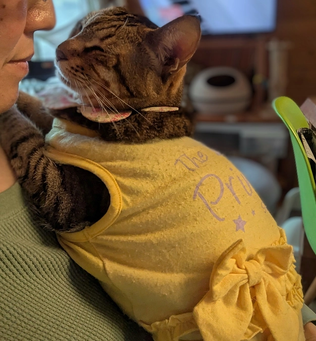 チラシ配りと里親様のうれしい訪問