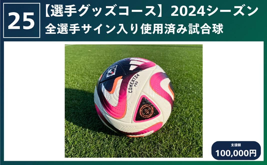 【選手グッズコース】2024シーズン全選手サイン入り使用済み試合球