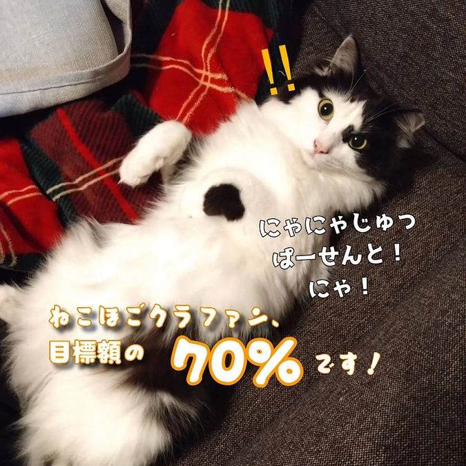 プロジェクト達成率70％になりました！