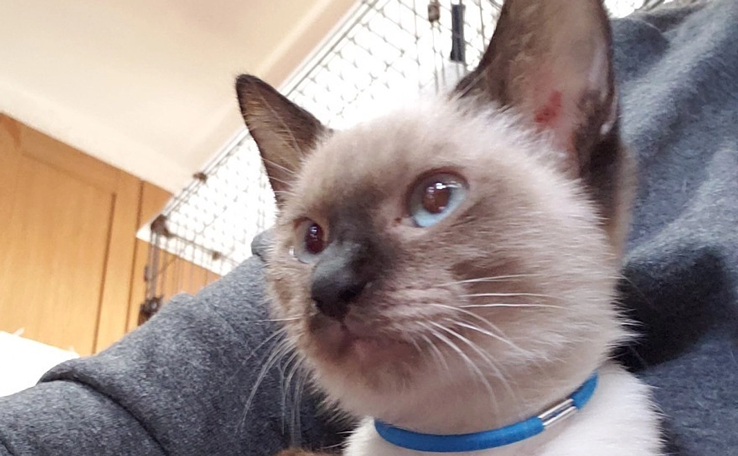 企業様向け　毎月50000円コース