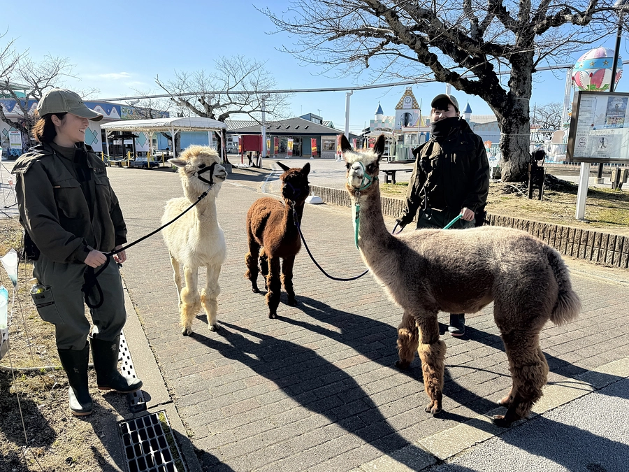 公開しました！