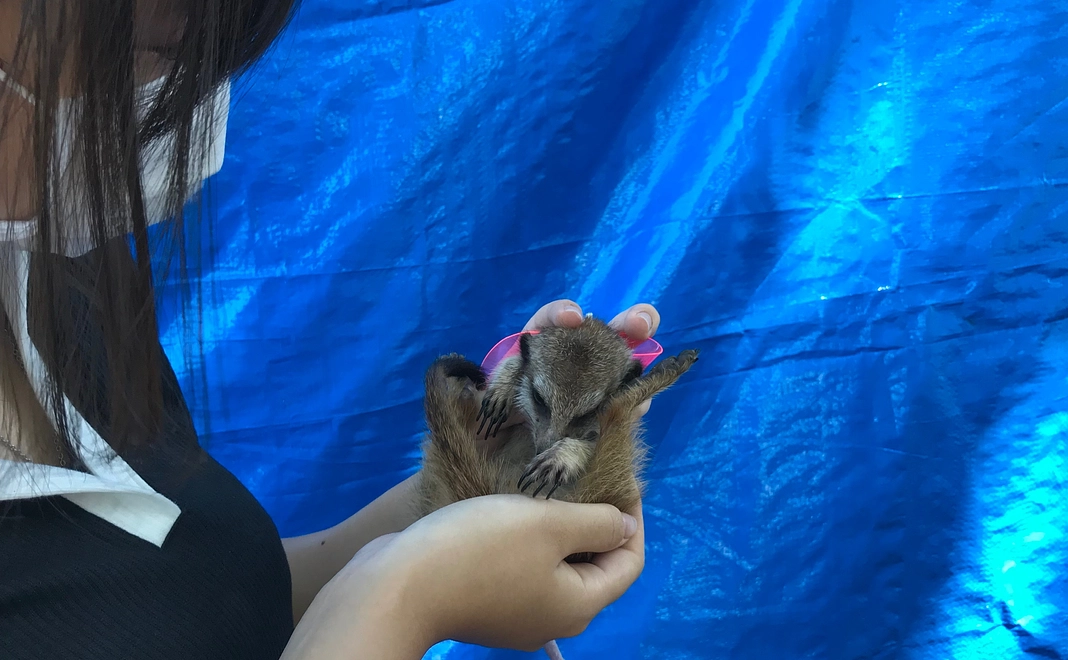 感謝、お礼のメールいたします。