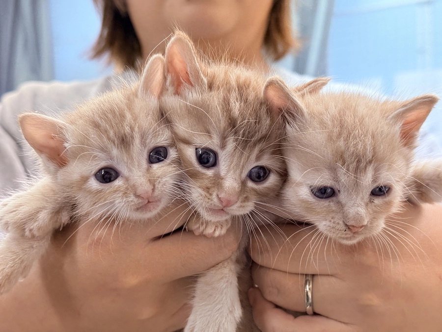 ２０２５年１０月『活動報告』