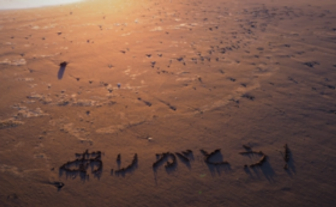 活動を支援します。