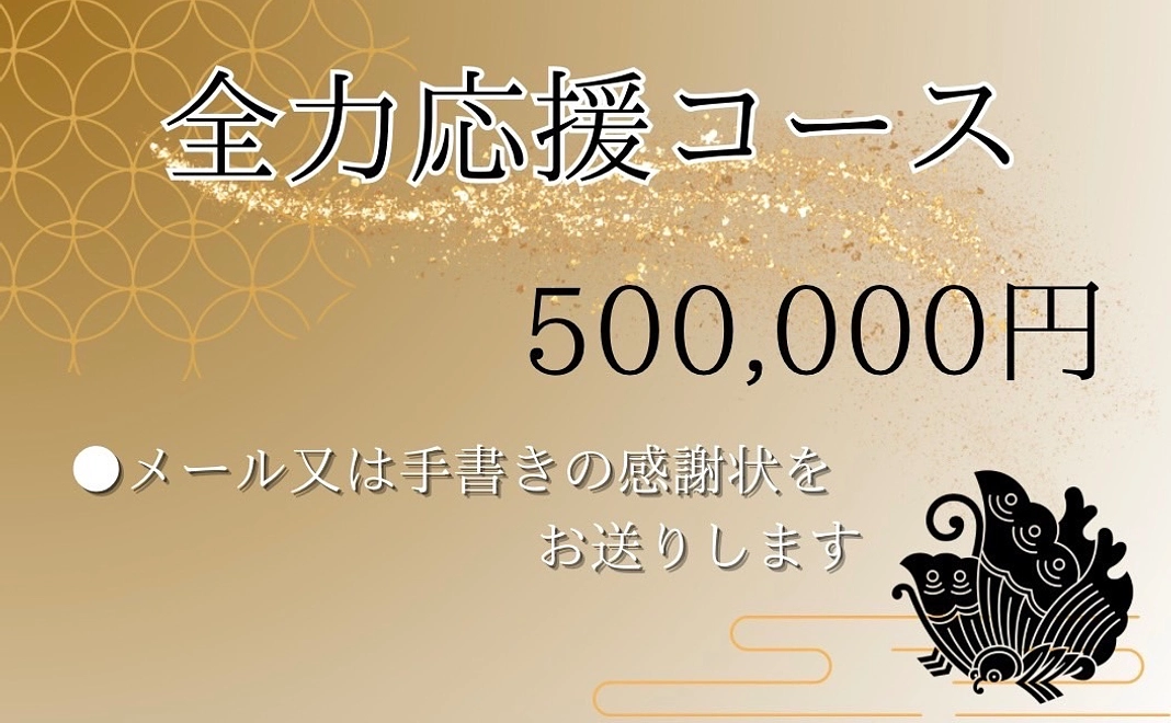 全力応援コース 500000円