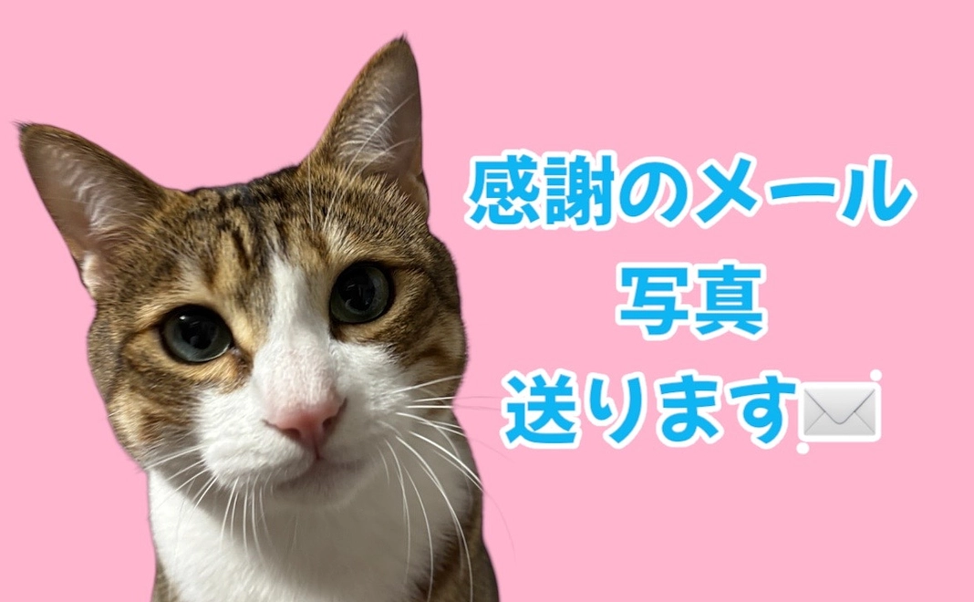 感謝のメールと写真を送らせていただきます