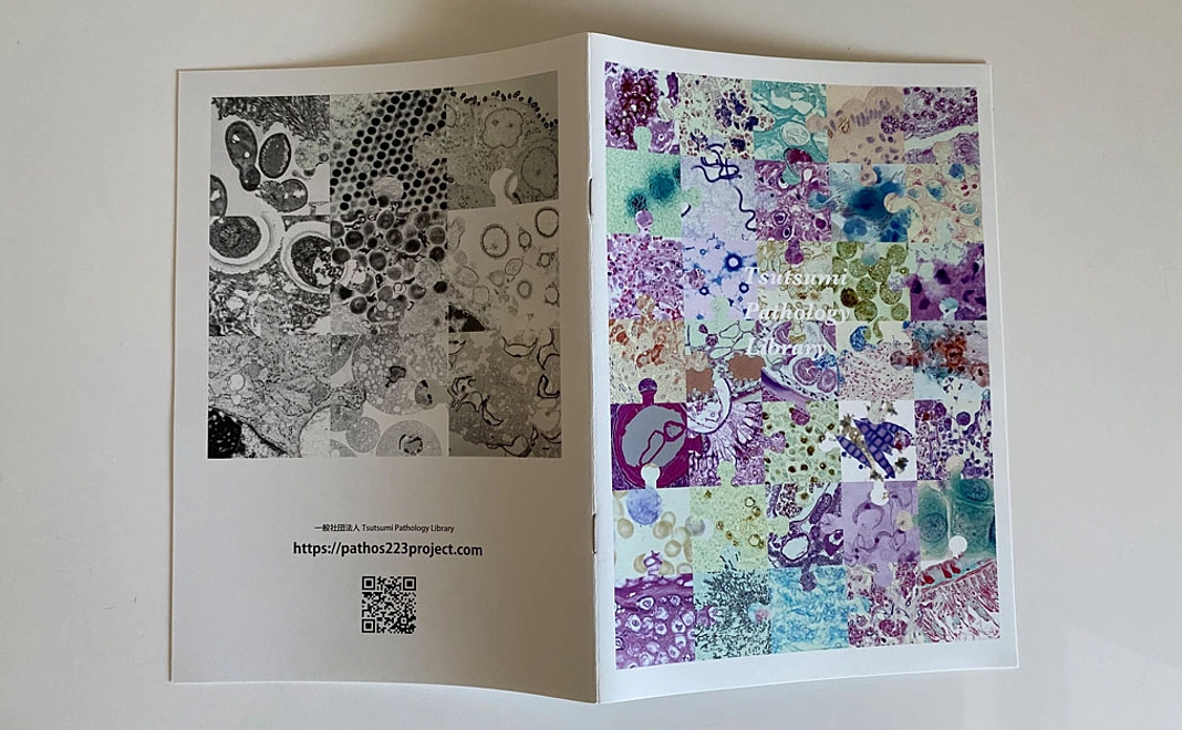 ”オリジナル細胞ノート”をプレゼントします！