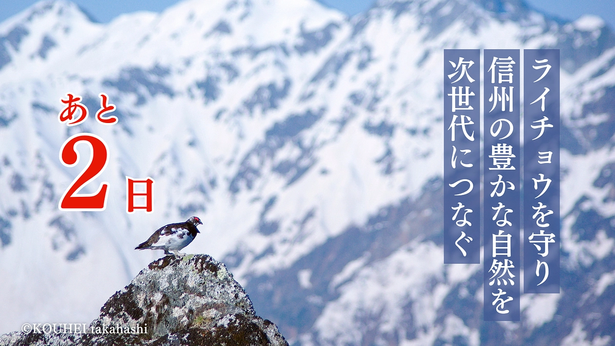 【残り2日】応援メッセージのご紹介２