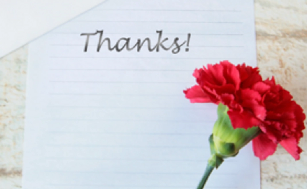 全力応援プラン