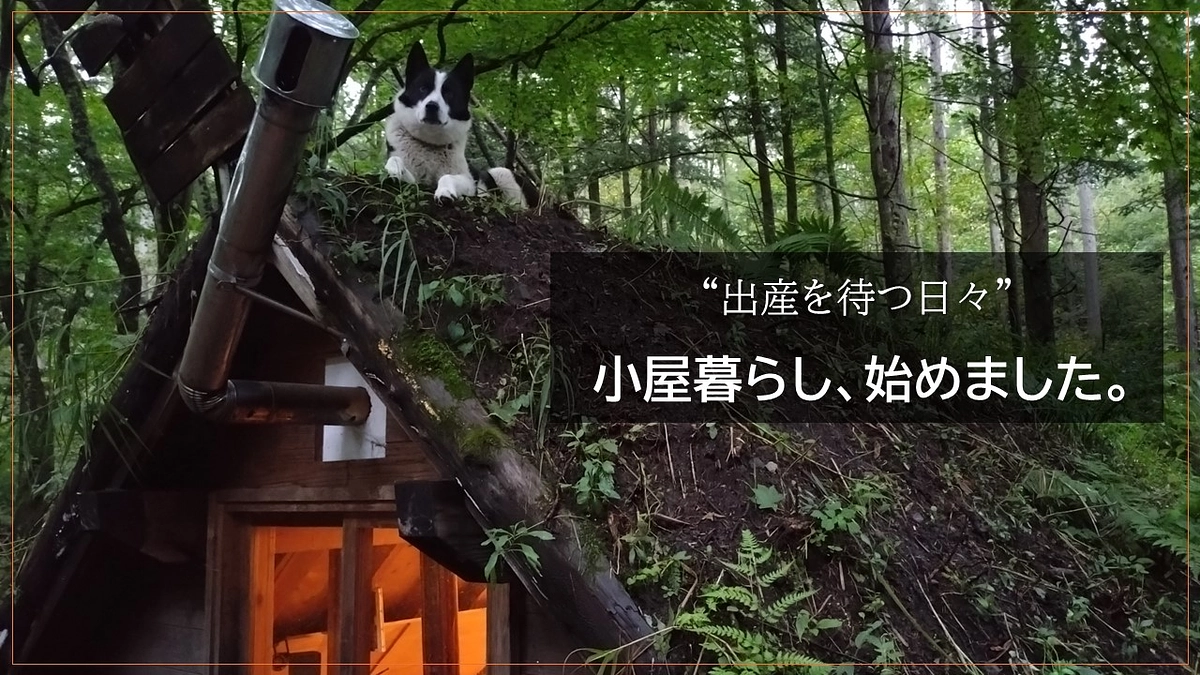 “出産を待つ日々”   小屋暮らし、始めました。