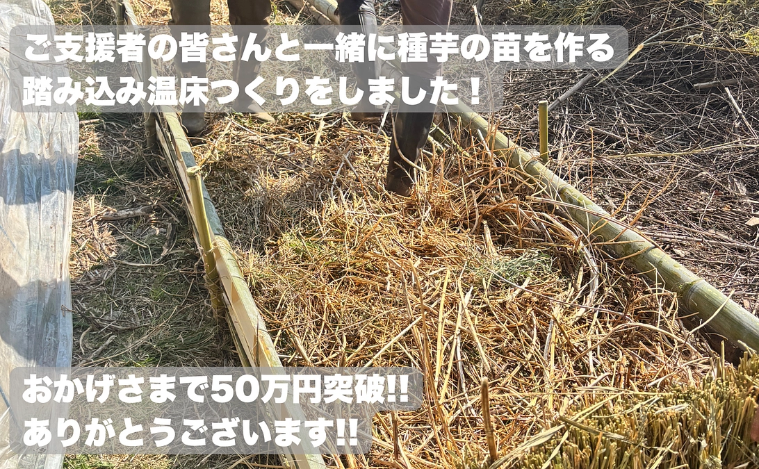 踏み込み温床をつくりました！