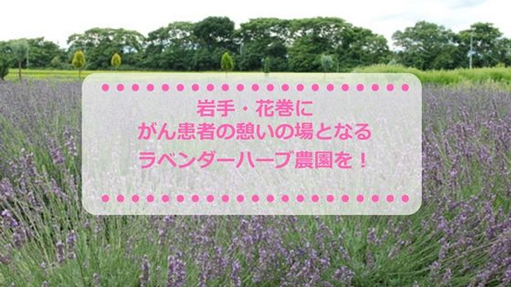 岩手・花巻にがん患者の憩いの場となるラベンダーハーブ農園を！