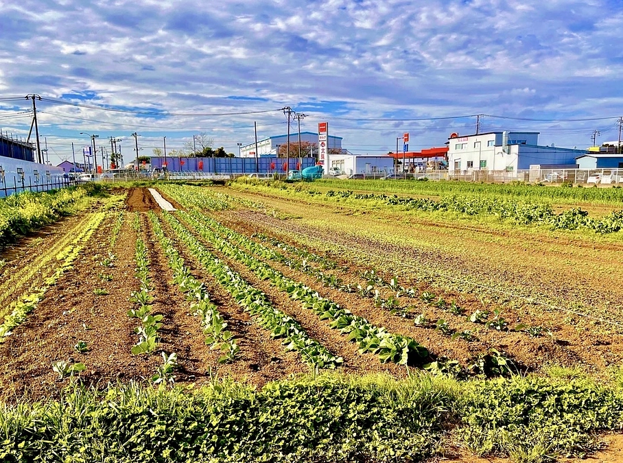 「ささやかな都市型循環農業の一日体験コース」はアットホームにお待ちしております✨