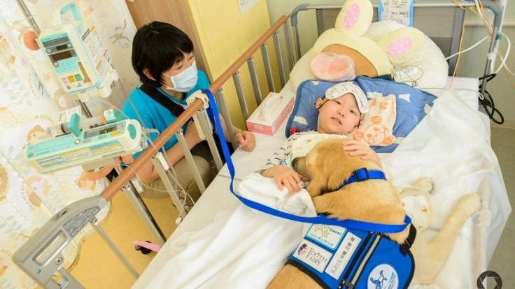 君がいるから頑張れる。病気と闘う子供達にファシリティドッグを