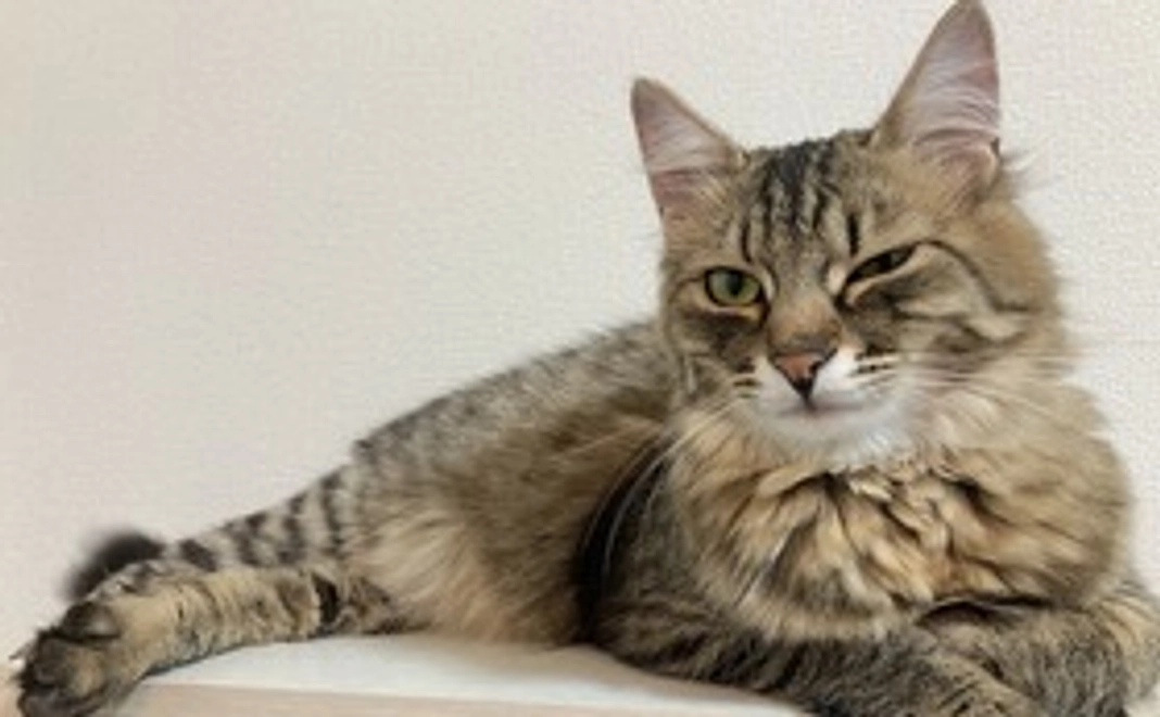 ご支援よろしくお願いします②