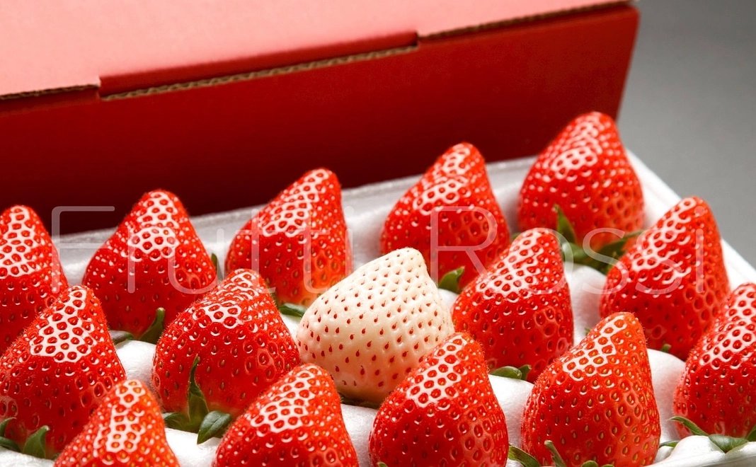 🍓やよいひめ全力応援スペシャルコース🍓