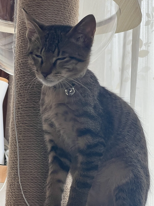 片桐の母が運営しているアカウントになります。