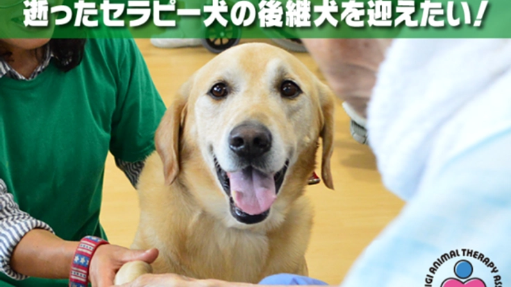 1,000人の心に寄り添ったセラピー犬の後継犬を迎えたい！
