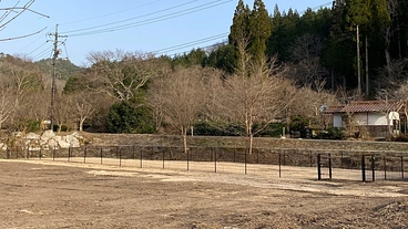 築200年の古民家そば店に隣接するキャンプ場 のトップ画像