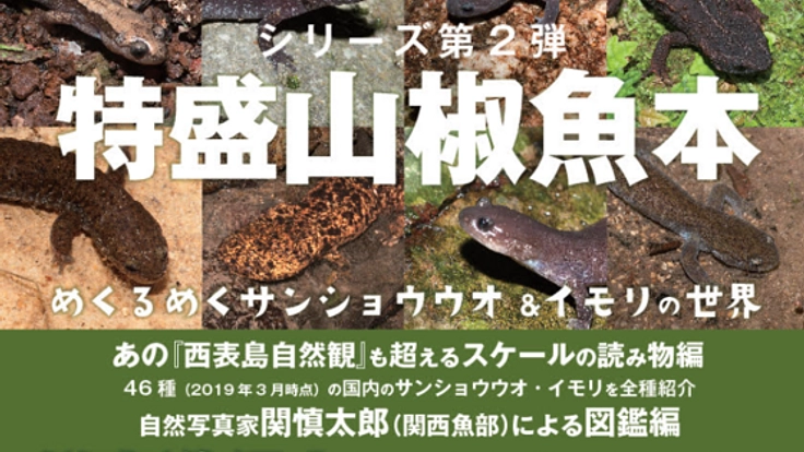 日本の全46種を知る『特盛山椒魚本』をつくりたい！
