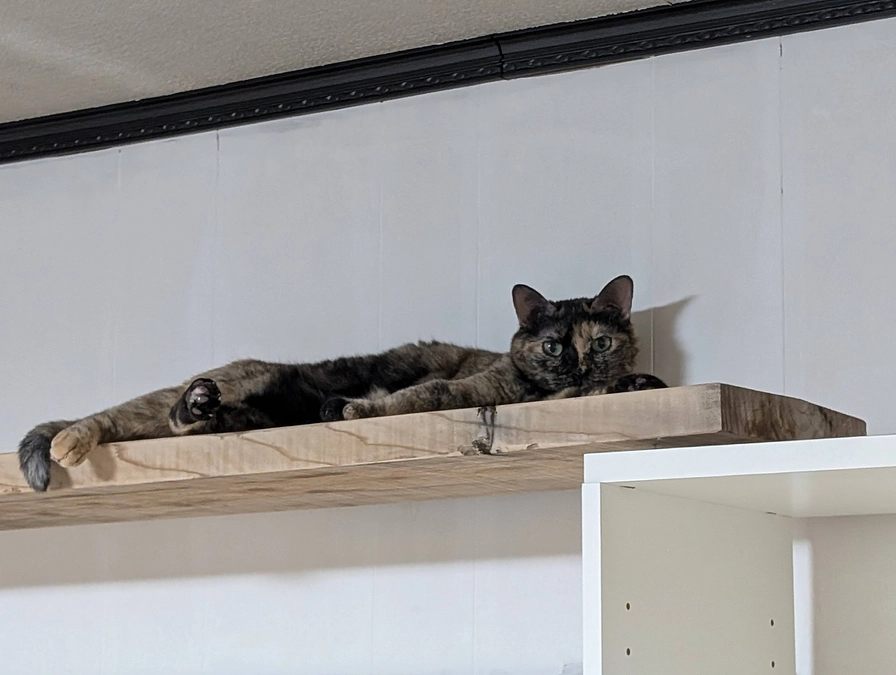 【残り5日】あと52万円！！引き続き応援をお願いします！！！