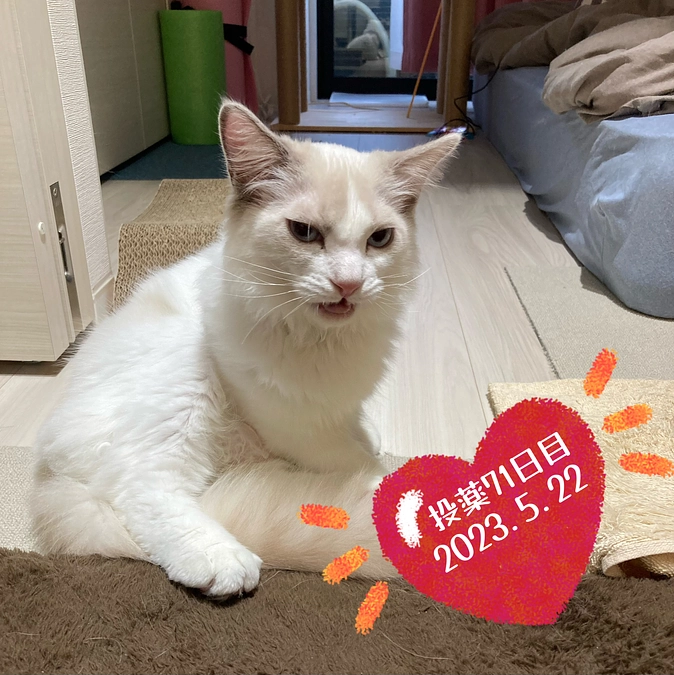 投薬７１日目(2023.5.22)&ご支援のお知らせ