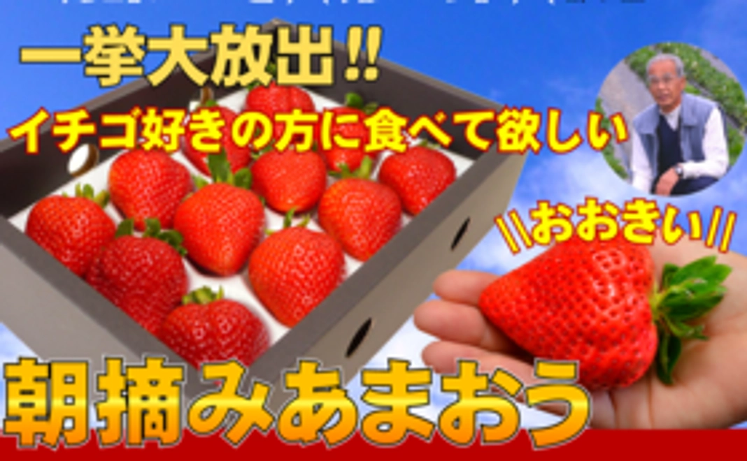 【おまけ付】コロナ禍で3月出荷予定だった大玉あまおうギフト３００箱を苺好きの方に食べて欲しい【3箱分の金額で1箱おまけ】