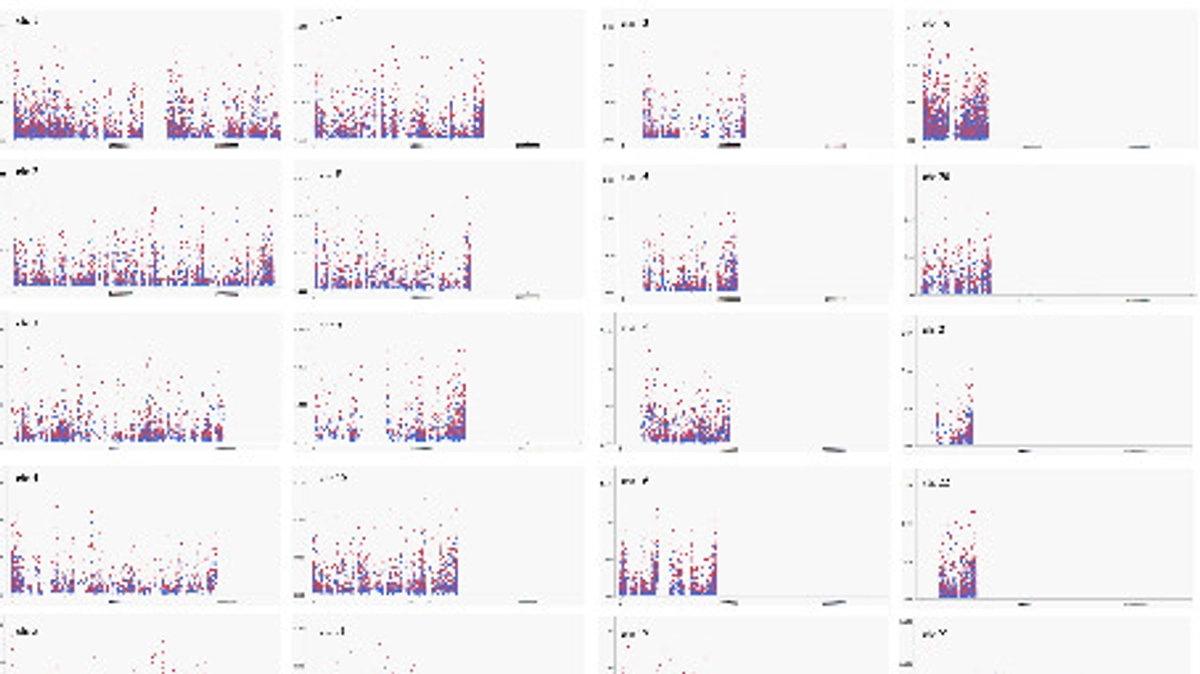 【コラム】DNAメチル化の個人差は男性で大きい？
