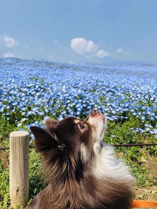 終了報告をいたしました