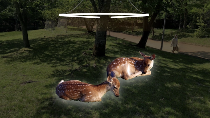 宝が池公園の人と動物を巻き込む動く環境彫刻