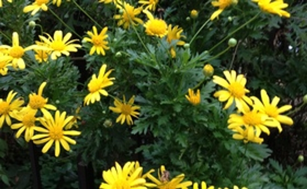 お礼状と支援メンバーオリジナル缶バッジをお届けします！