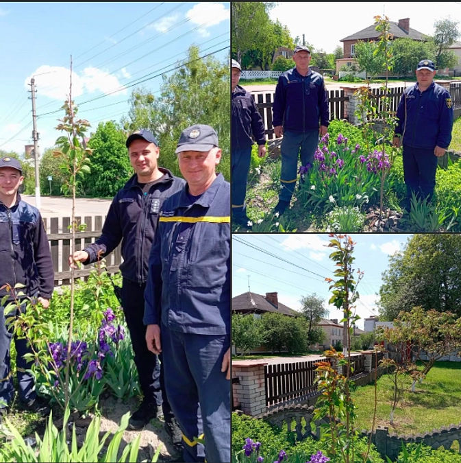 ジトーミル州での桜植樹支援